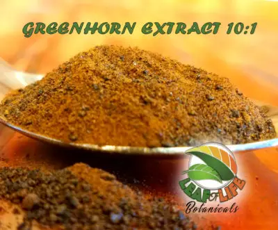 Greenhorn Green Extract 10:1