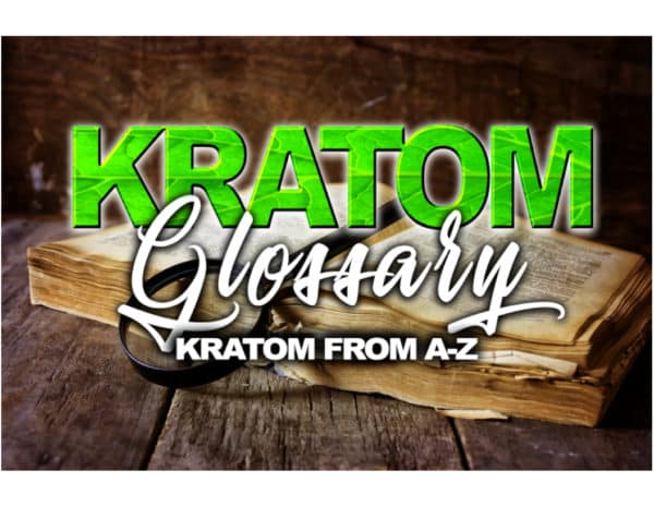 Read more about the article Kratom Glossary