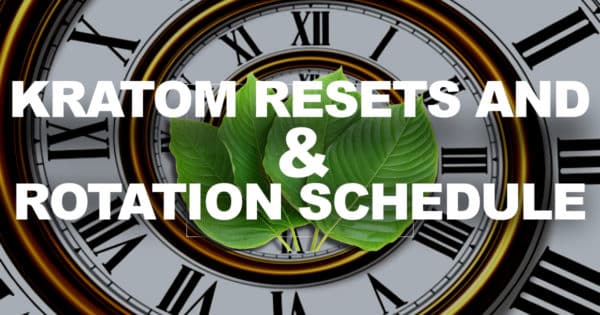 Read more about the article Kratom Resets and Rotation Schedules