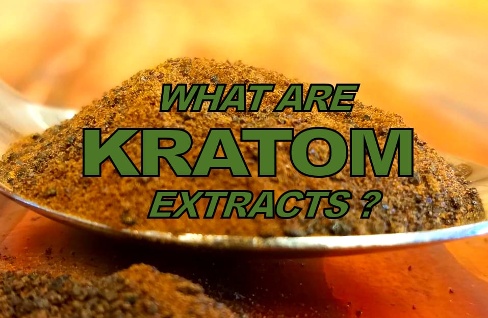 You are currently viewing What Exactly Are Kratom Extracts?