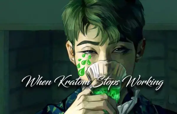 Read more about the article When Kratom Stops Working