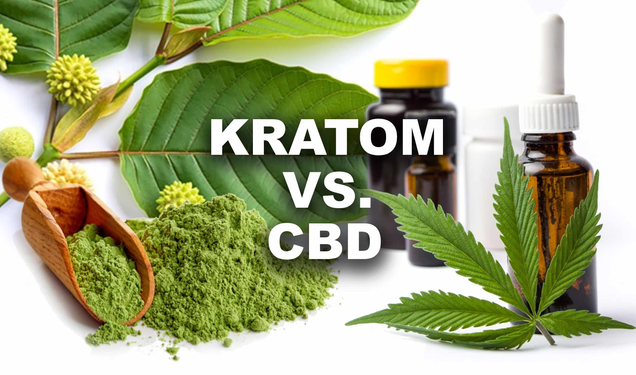 You are currently viewing What Is The Difference Between CBD and Kratom?
