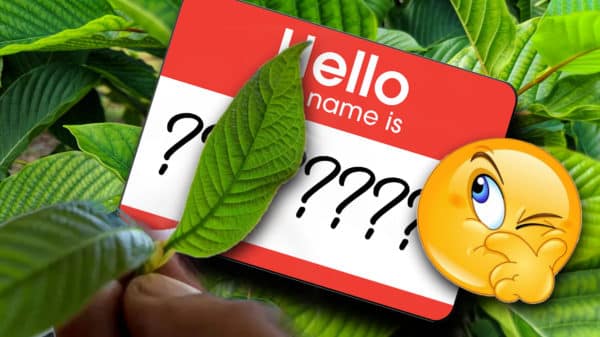 Read more about the article What Are Other Names for Kratom?
