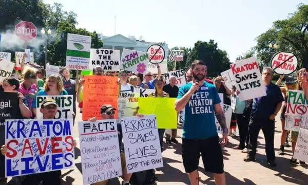 Read more about the article How To Become a Kratom Activist