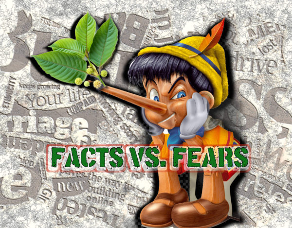 Read more about the article 5 Crazy Lies About Kratom