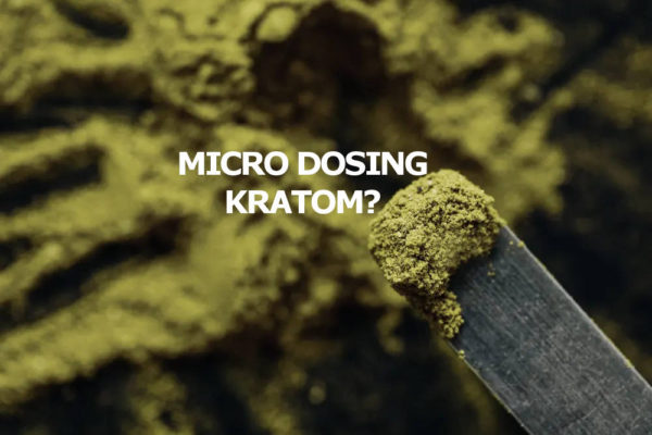 Read more about the article Kratom Microdosing