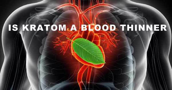 Read more about the article Is Kratom a Blood Thinner?