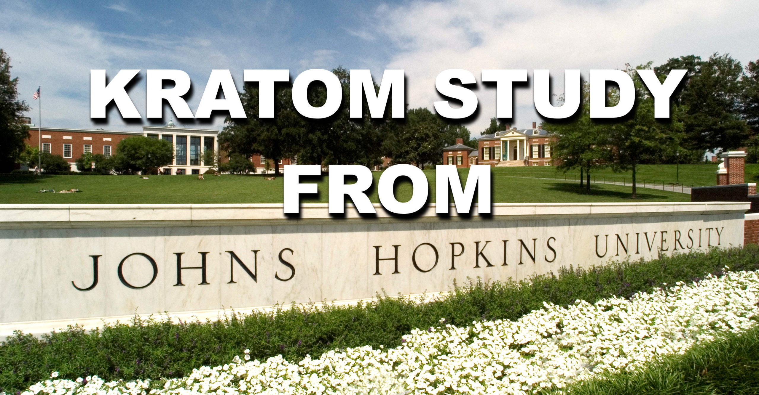 You are currently viewing Kratom User Survey from Johns Hopkins University