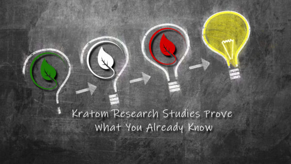 Read more about the article Kratom Research Studies Prove What You Already Know