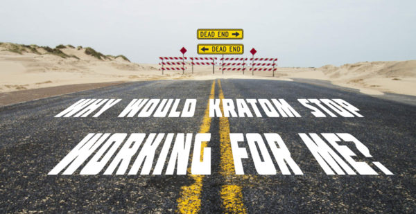 Read more about the article Why Would Kratom Stop Working For Me?