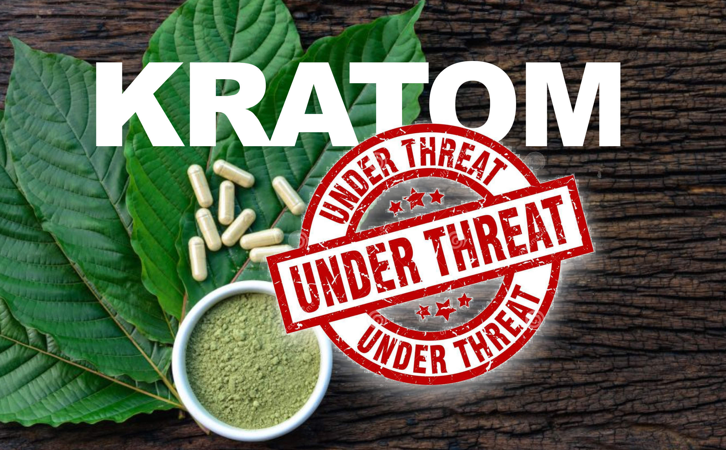 You are currently viewing Who is Kratom a Threat To?
