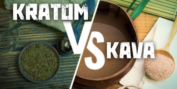 Read more about the article How Does Kava Compare With Kratom?
