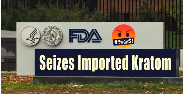 Read more about the article FDA Seizes Imported Kratom