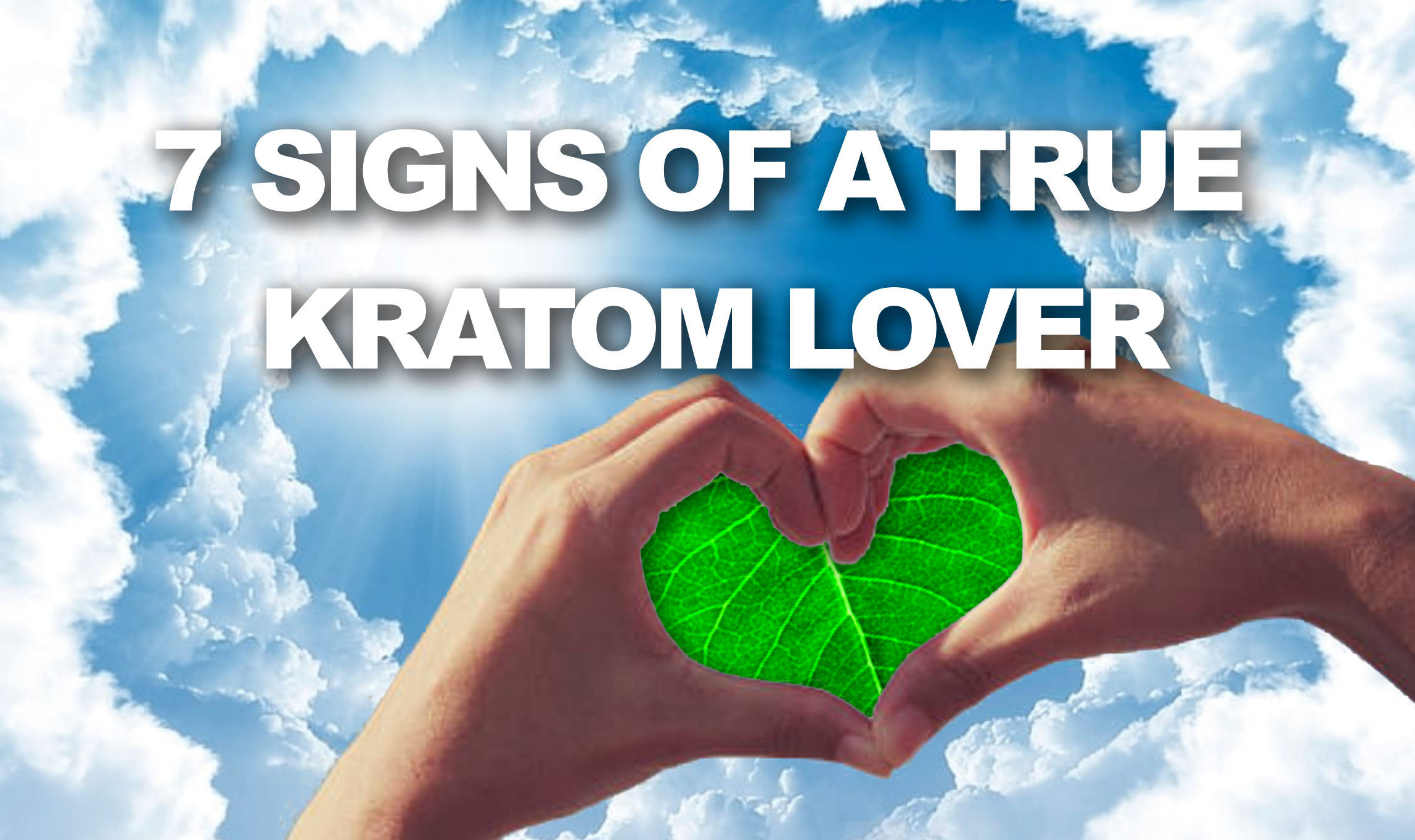 You are currently viewing 7 Signs of a True Lover of Kratom