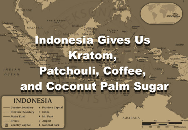 Read more about the article Indonesia Gives Us Kratom, Patchouli, Coffee, and Coconut Palm Sugar