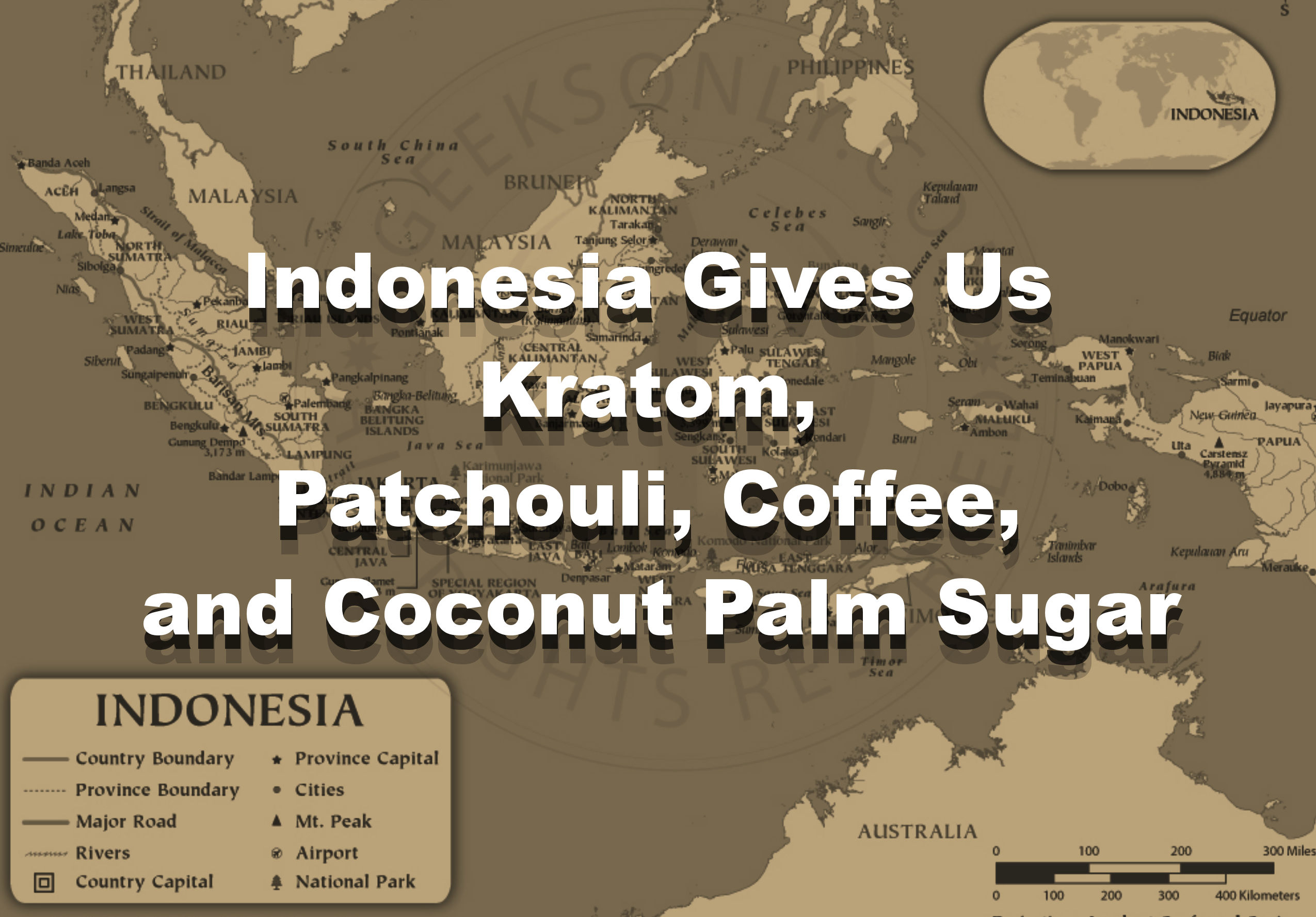 You are currently viewing Indonesia Gives Us Kratom, Patchouli, Coffee, and Coconut Palm Sugar