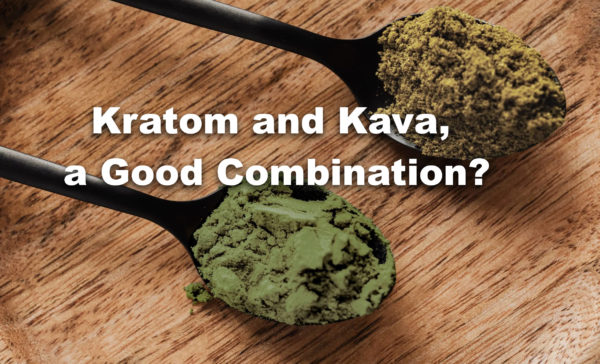 Read more about the article Kratom and Kava, a Good Combination?