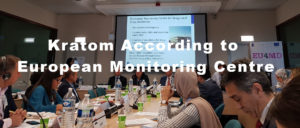 Kratom According to European Monitoring Centre